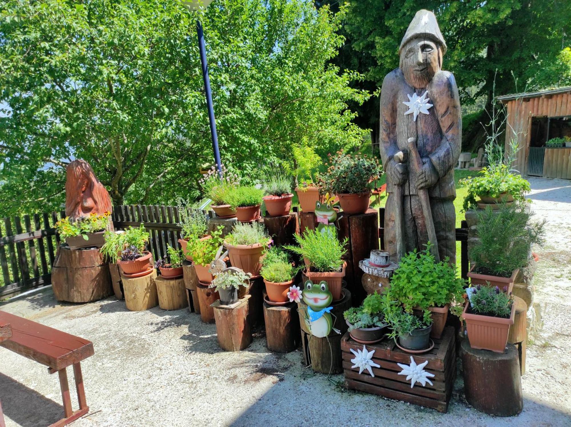 Smucarska Koca Bed and Breakfast Kotlje Buitenkant foto