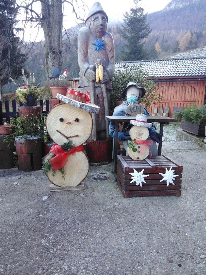 Smucarska Koca Bed and Breakfast Kotlje Buitenkant foto