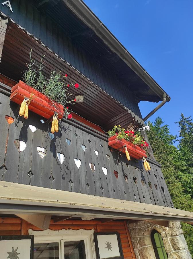 Smucarska Koca Bed and Breakfast Kotlje Buitenkant foto