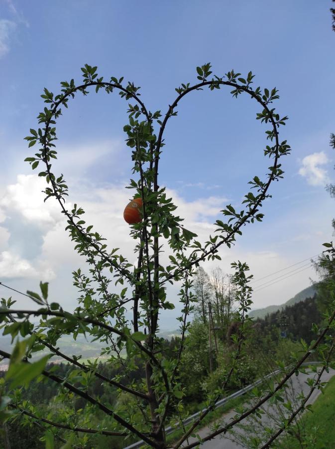 Smucarska Koca Bed and Breakfast Kotlje Buitenkant foto
